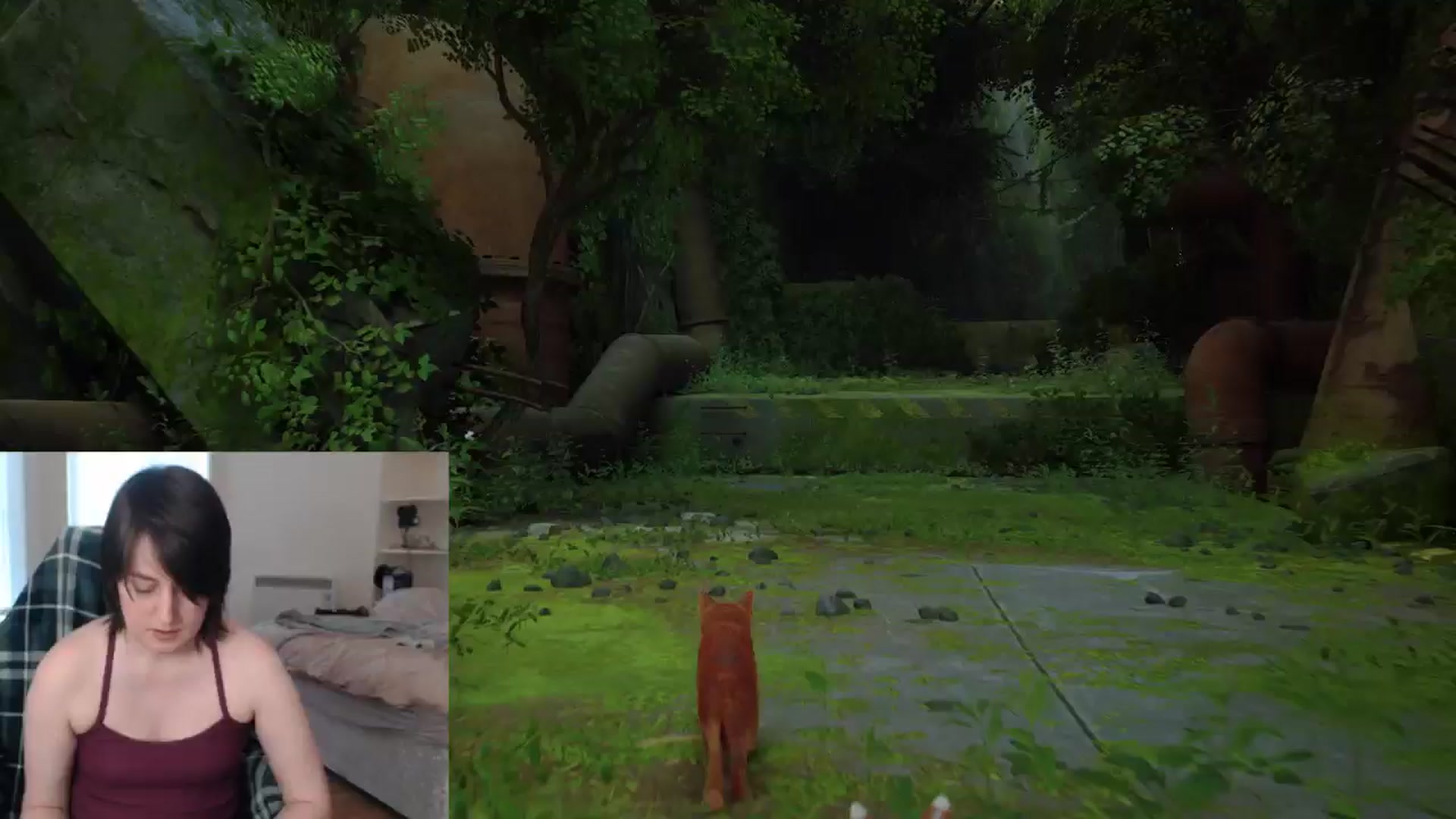 Gallery image thumbnail from xSolaraSweetx's myfreecams stream on, 07/23/2024, 19:39 image 4 of 20