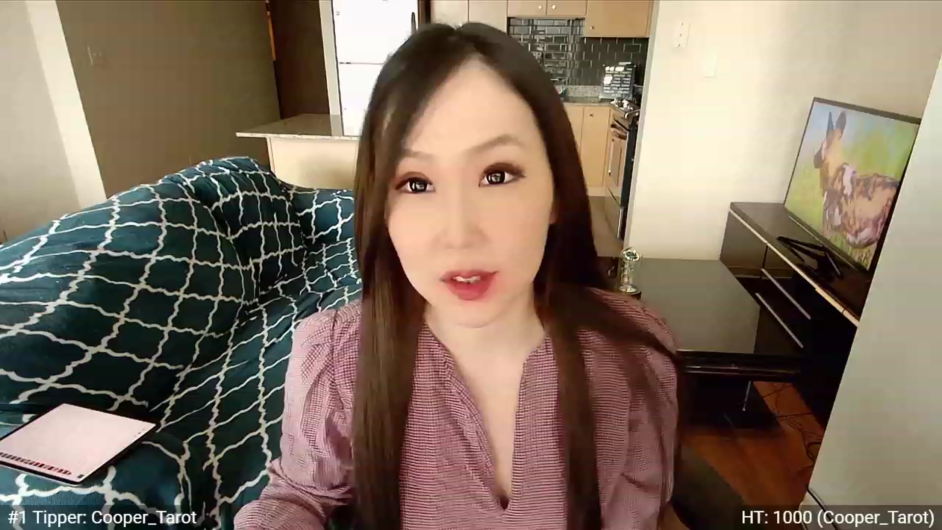 Gallery image thumbnail from xWildThingx's myfreecams stream on, 08/13/2023, 18:22 image 18 of 20