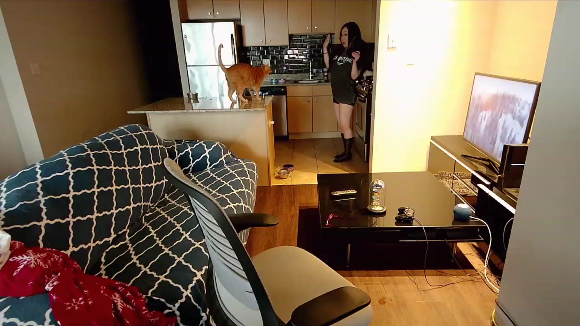 Gallery image thumbnail from xWildThingx's myfreecams stream on, 12/03/2023, 19:54 image 12 of 20