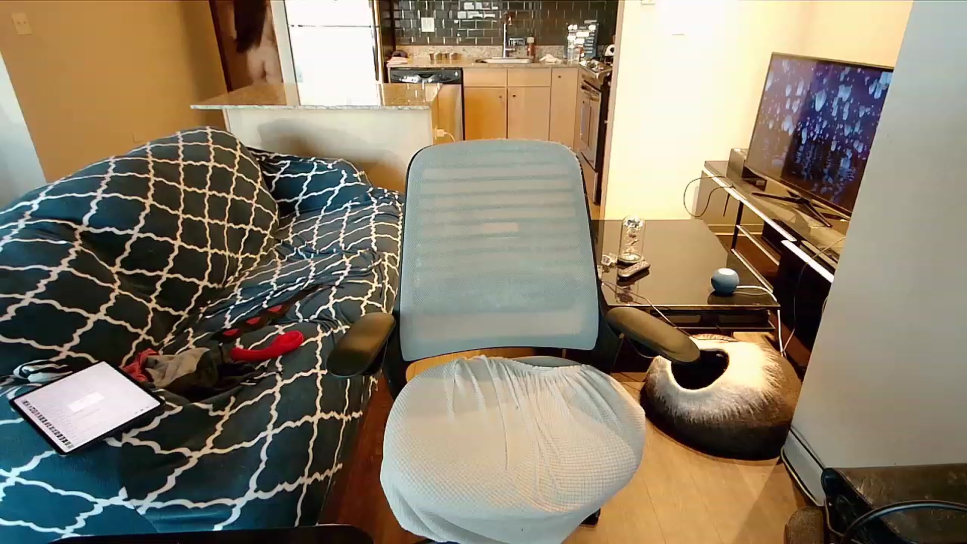 Gallery image thumbnail from xWildThingx's myfreecams stream on, 01/21/2024, 22:23 image 1 of 20