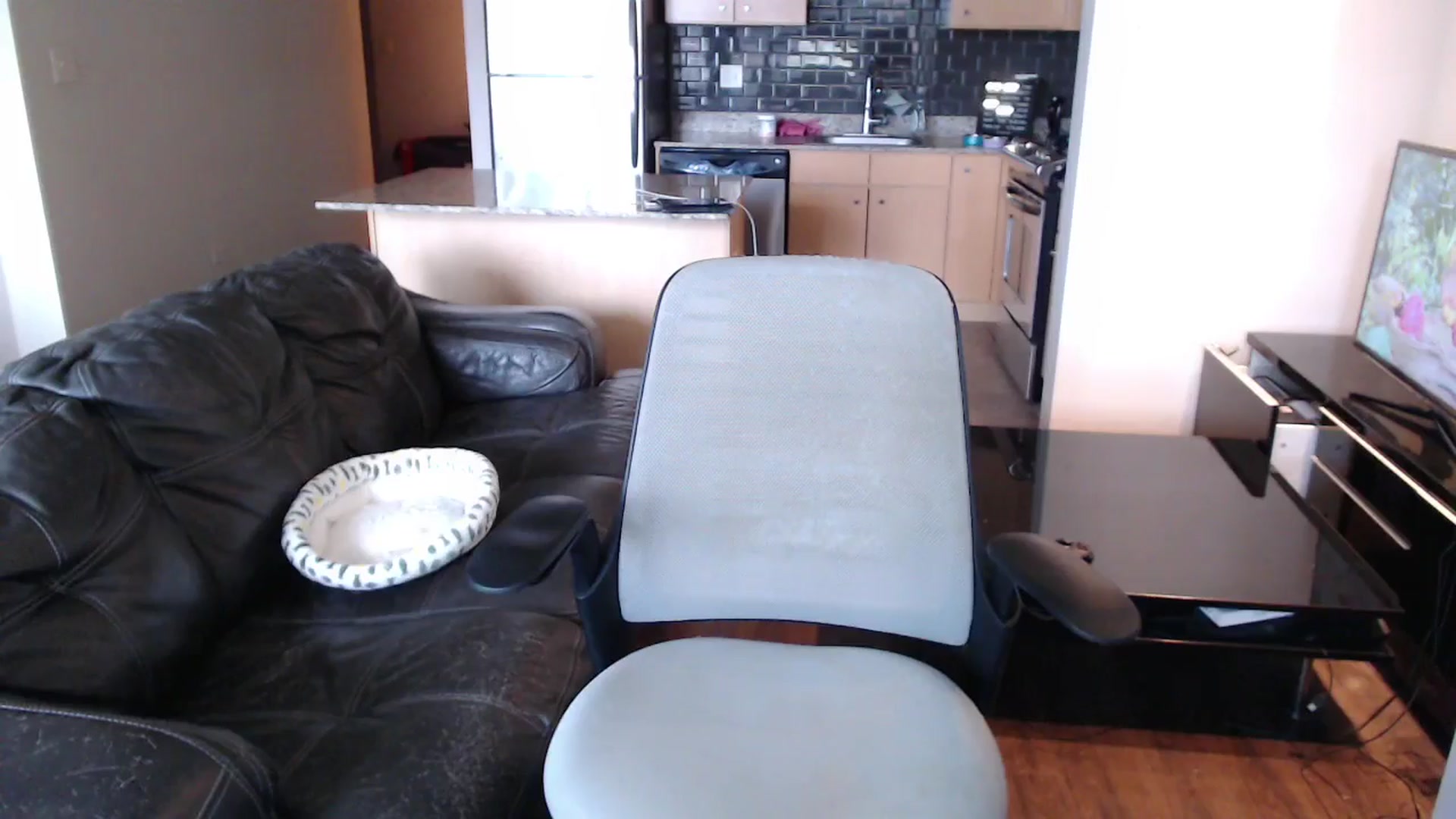 Gallery image thumbnail from xWildThingx's myfreecams stream on, 03/29/2026, 23:37 image 9 of 20