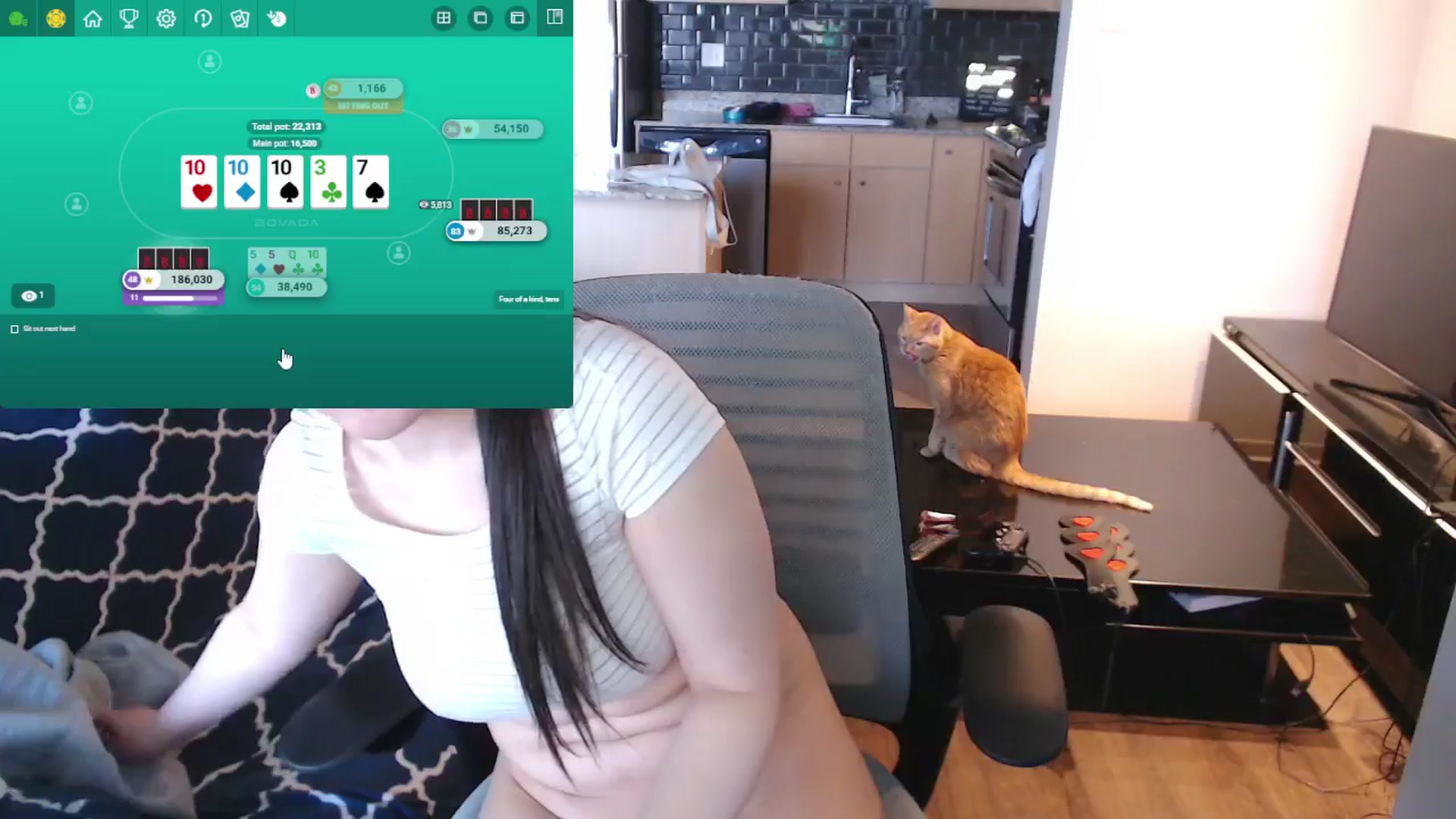 Gallery image thumbnail from xWildThingx's myfreecams stream on, 05/03/2026, 22:58 image 15 of 20