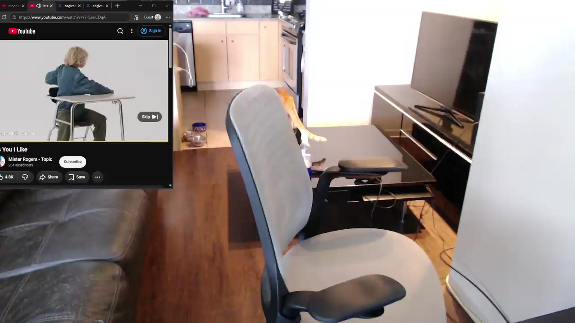 Gallery image thumbnail from xWildThingx's myfreecams stream on, 08/16/2026, 19:58 image 11 of 20