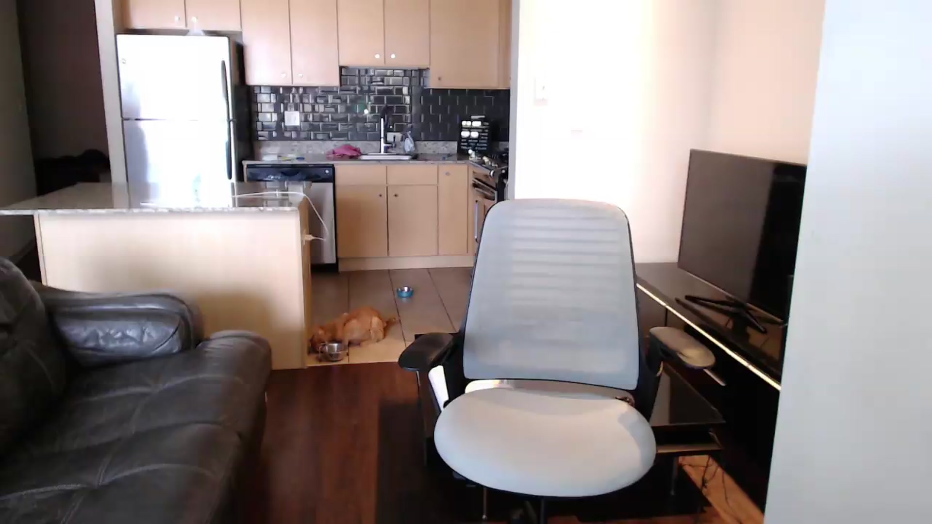 Gallery image thumbnail from xWildThingx's myfreecams stream on, 08/16/2026, 19:58 image 18 of 20