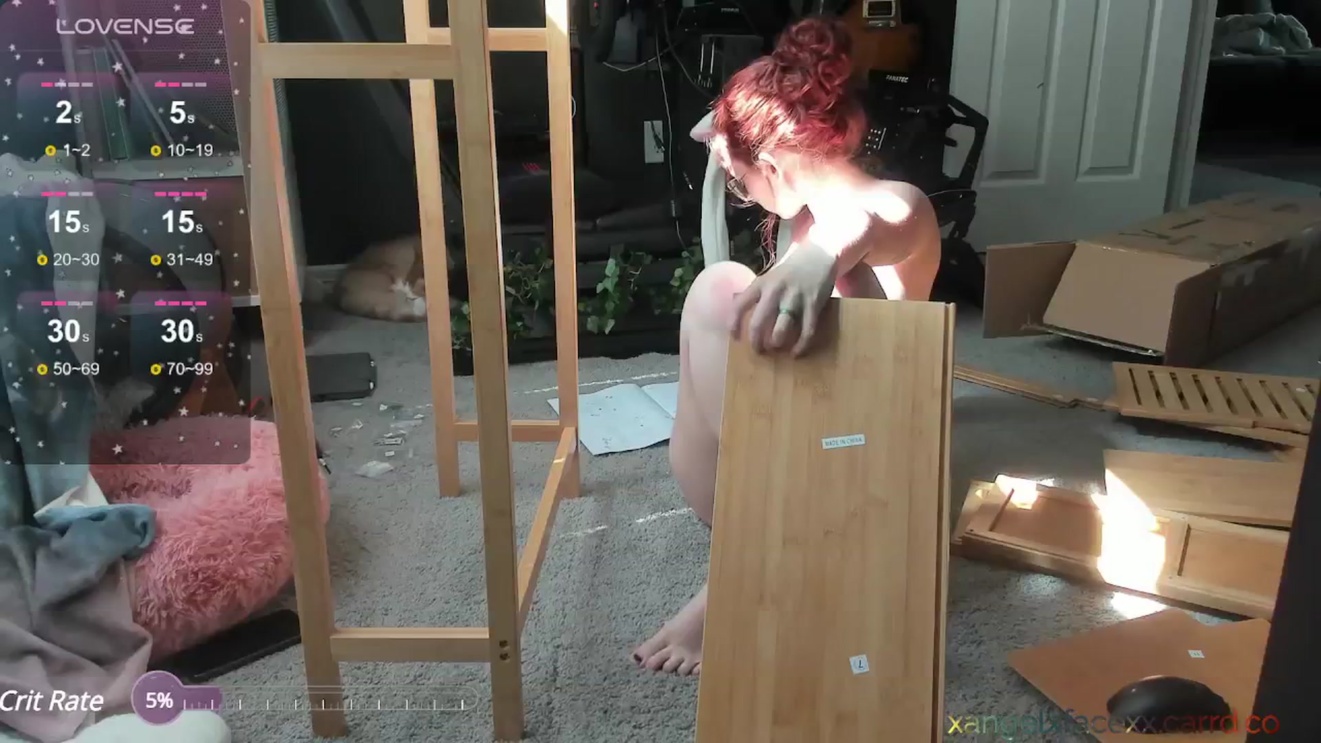 Gallery image thumbnail from xangelxfacexx's myfreecams stream on, 06/14/2024, 23:08 image 7 of 20