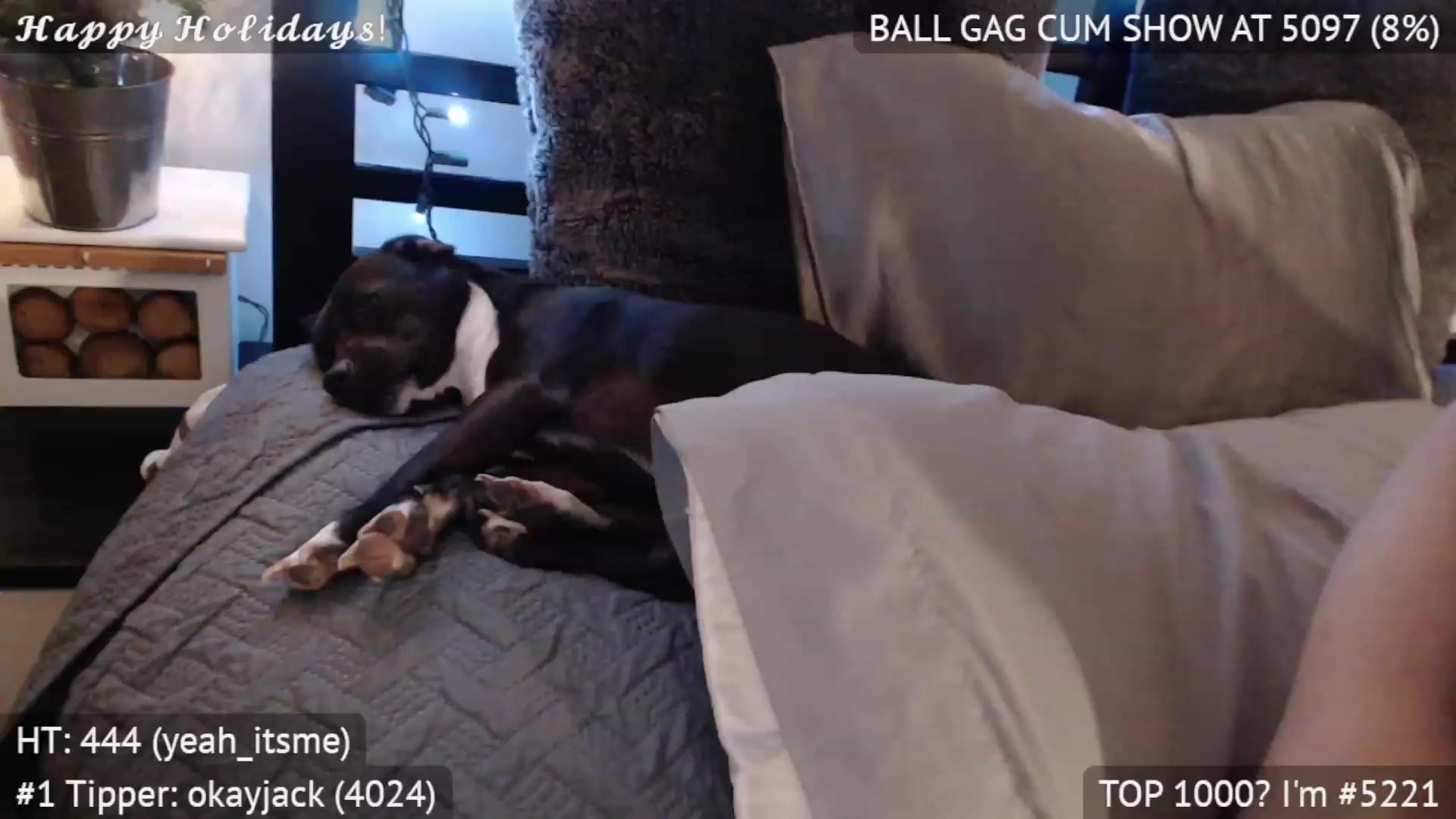 Gallery image thumbnail from xoNicolette's myfreecams stream on, 12/25/2022, 07:52 image 3 of 20