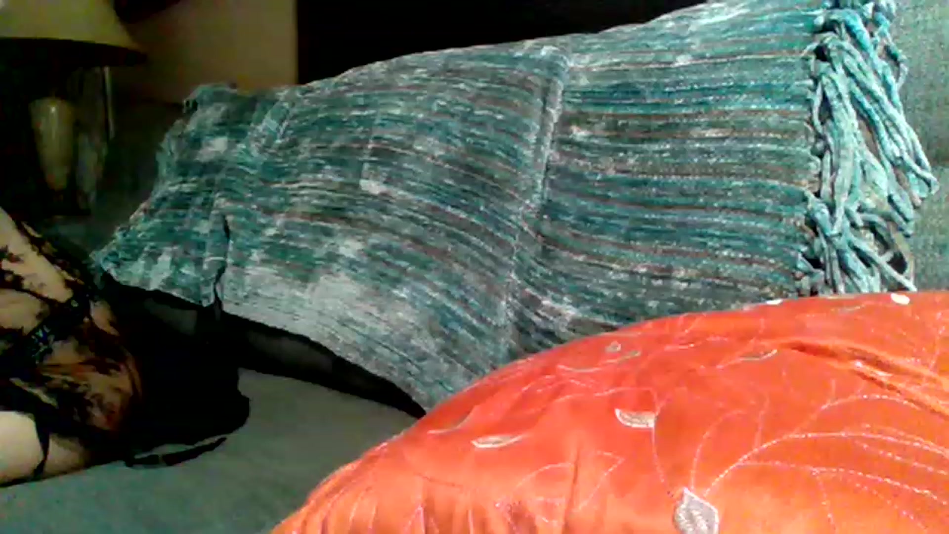 Gallery image thumbnail from xoxo_bee's myfreecams stream on, 11/24/2022, 10:24 image 7 of 20
