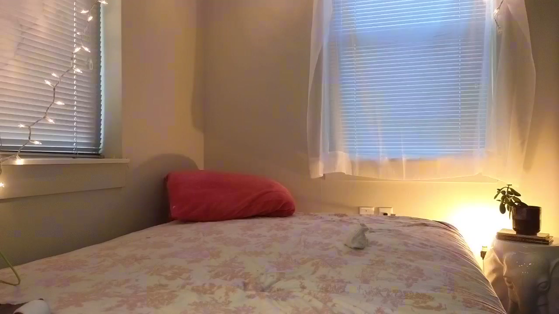 Gallery image thumbnail from xxwonderland's myfreecams stream on, 02/22/2024, 13:31 image 19 of 20
