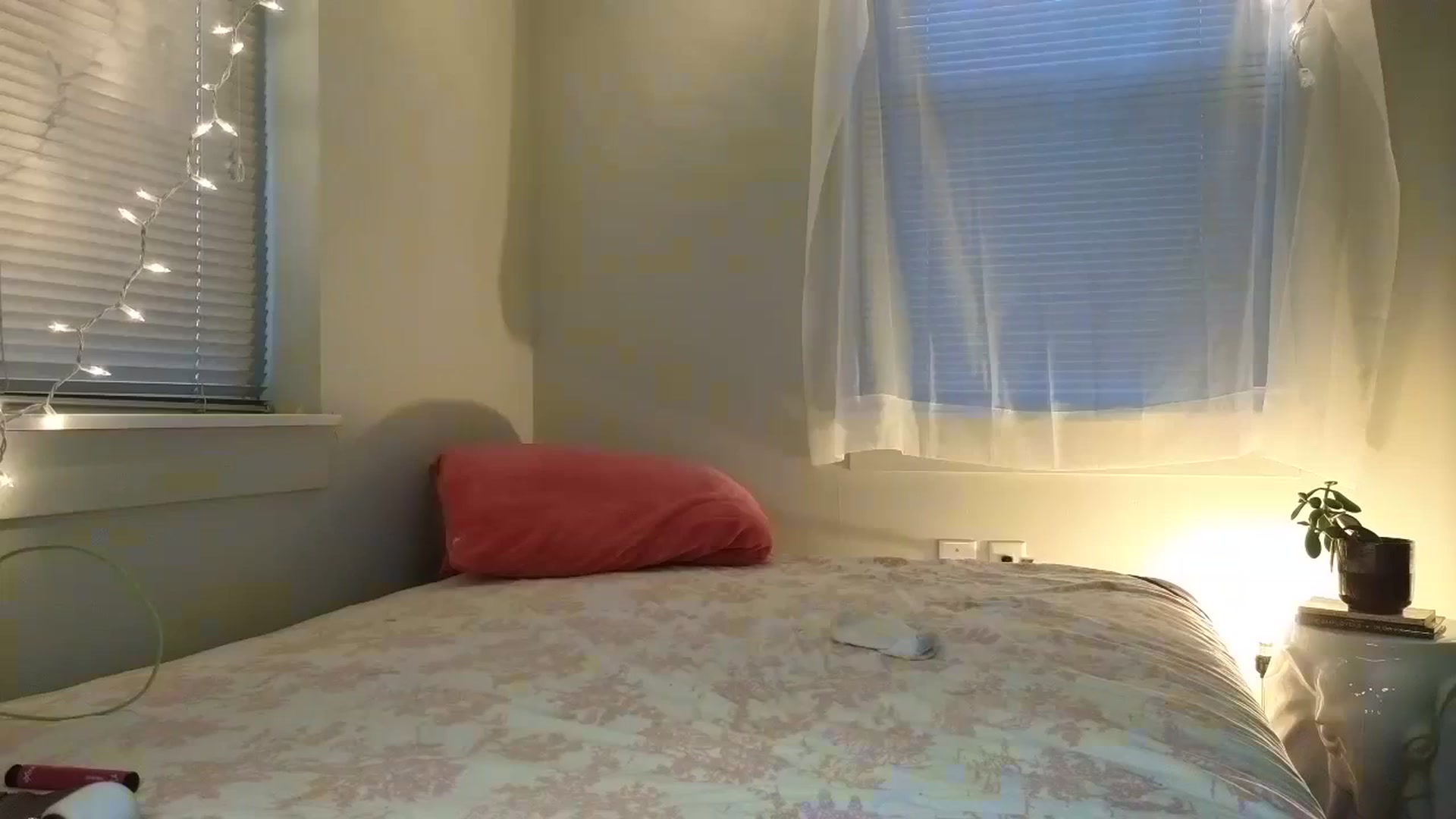Gallery image thumbnail from xxwonderland's myfreecams stream on, 02/22/2024, 13:31 image 11 of 20