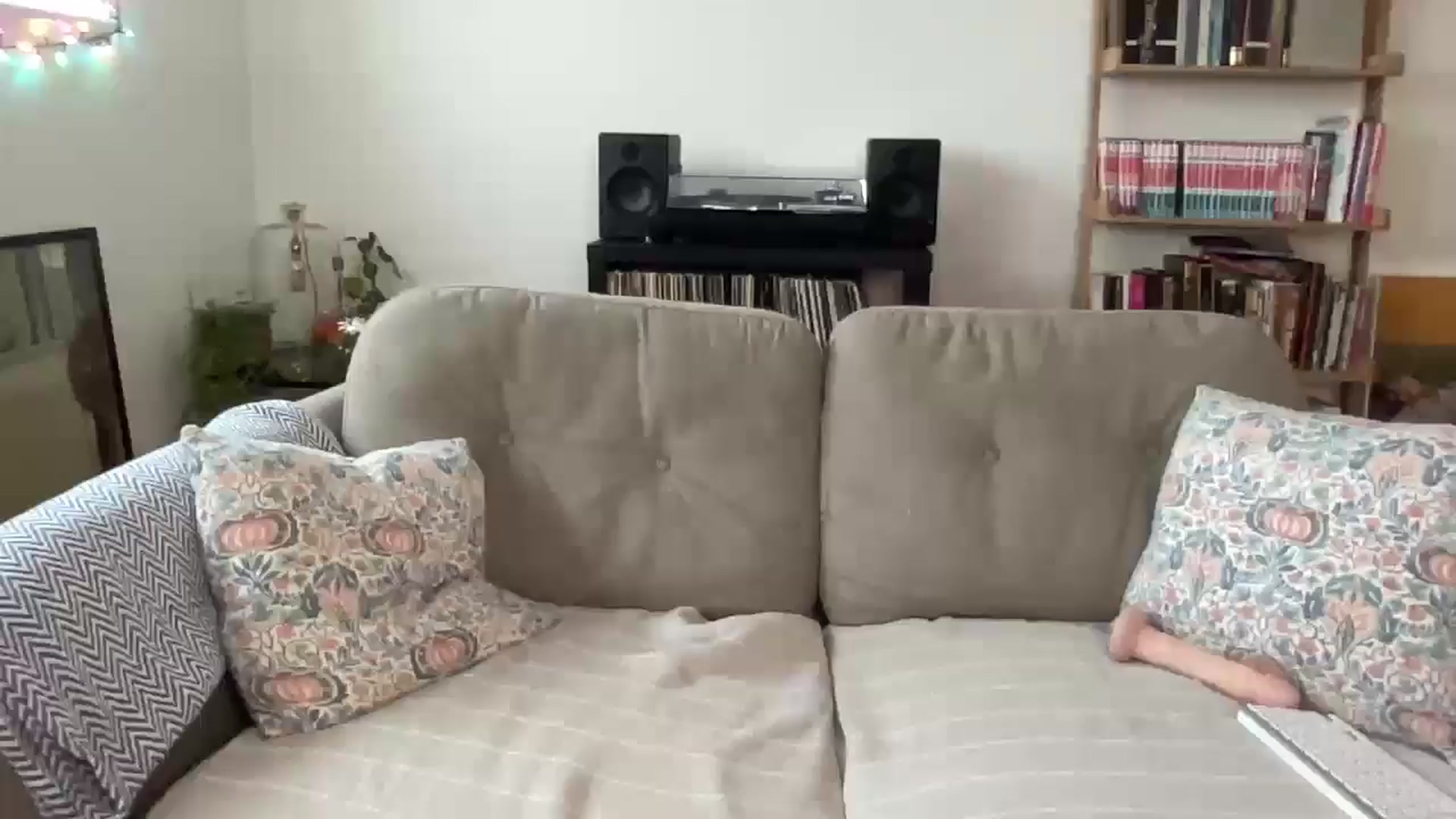 Gallery image thumbnail from xxx_ruby_xxx's myfreecams stream on, 01/15/2026, 15:17 image 12 of 20