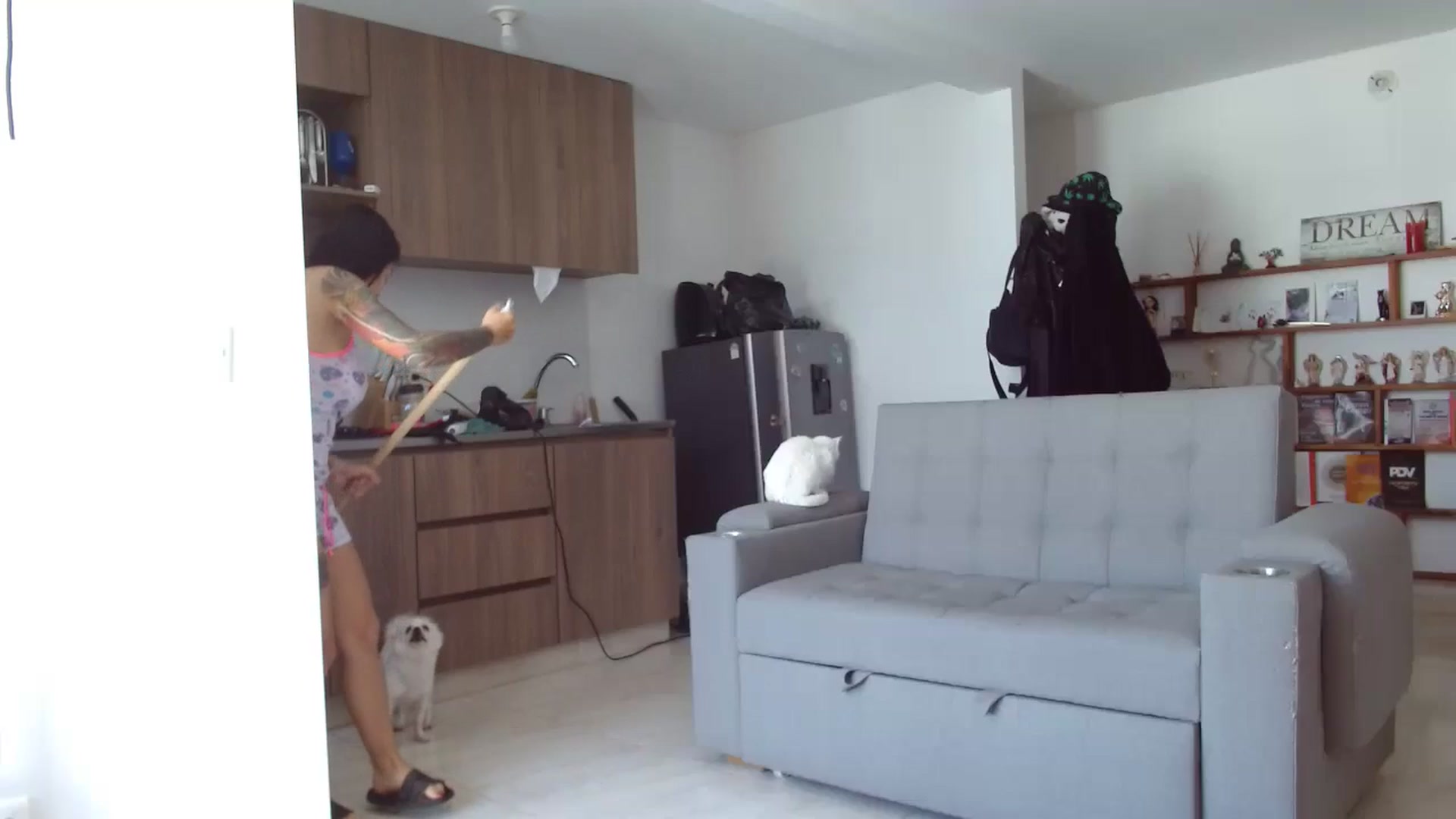 Gallery image thumbnail from yesicat's myfreecams stream on, 06/21/2024, 14:43 image 11 of 20