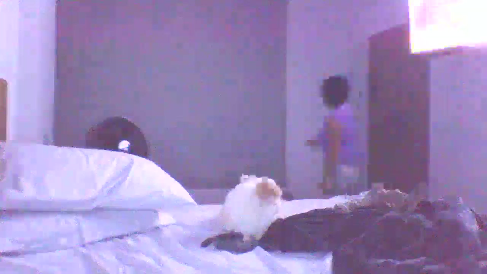 Gallery image thumbnail from yesicat's myfreecams stream on, 08/27/2025, 05:40 image 12 of 20