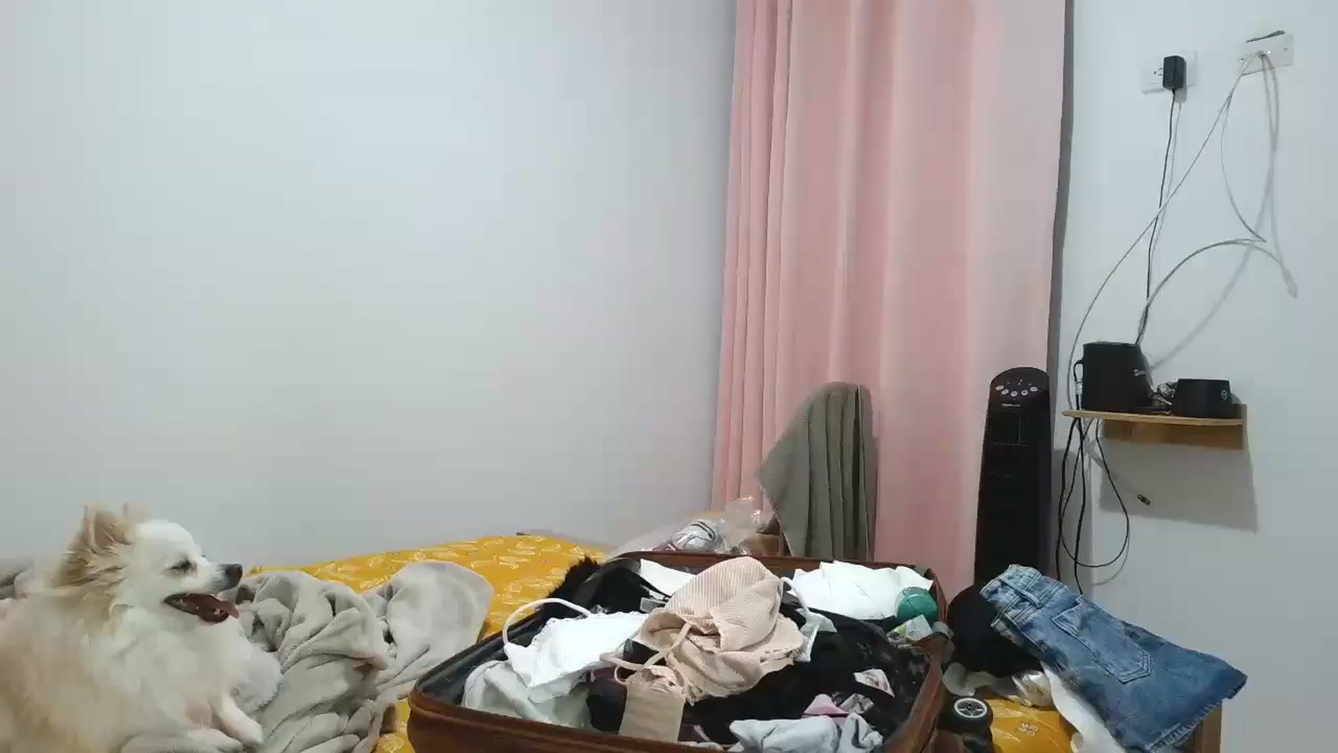 Gallery image thumbnail from yesicat's myfreecams stream on, 09/13/2025, 01:45 image 15 of 20