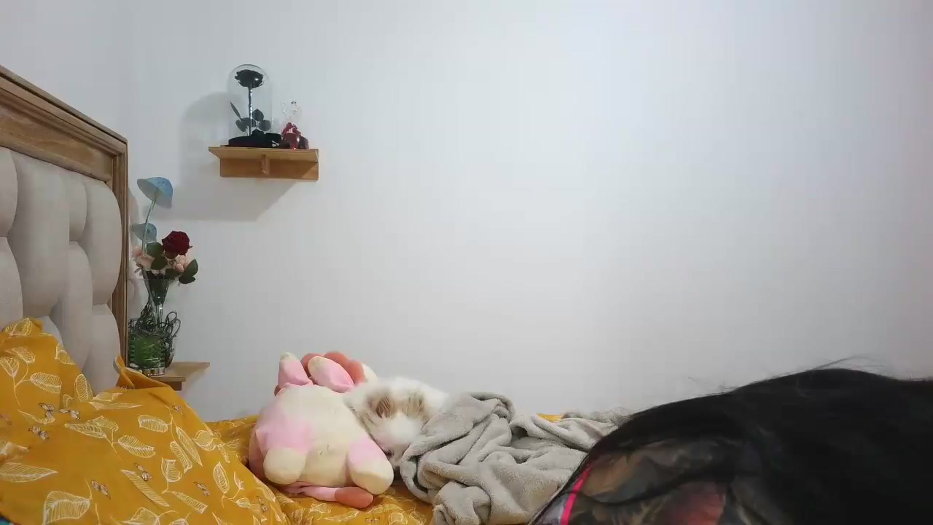 Gallery image thumbnail from yesicat's myfreecams stream on, 09/13/2025, 01:45 image 5 of 20