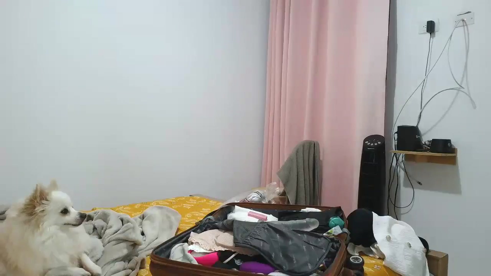Gallery image thumbnail from yesicat's myfreecams stream on, 09/13/2025, 01:45 image 12 of 20