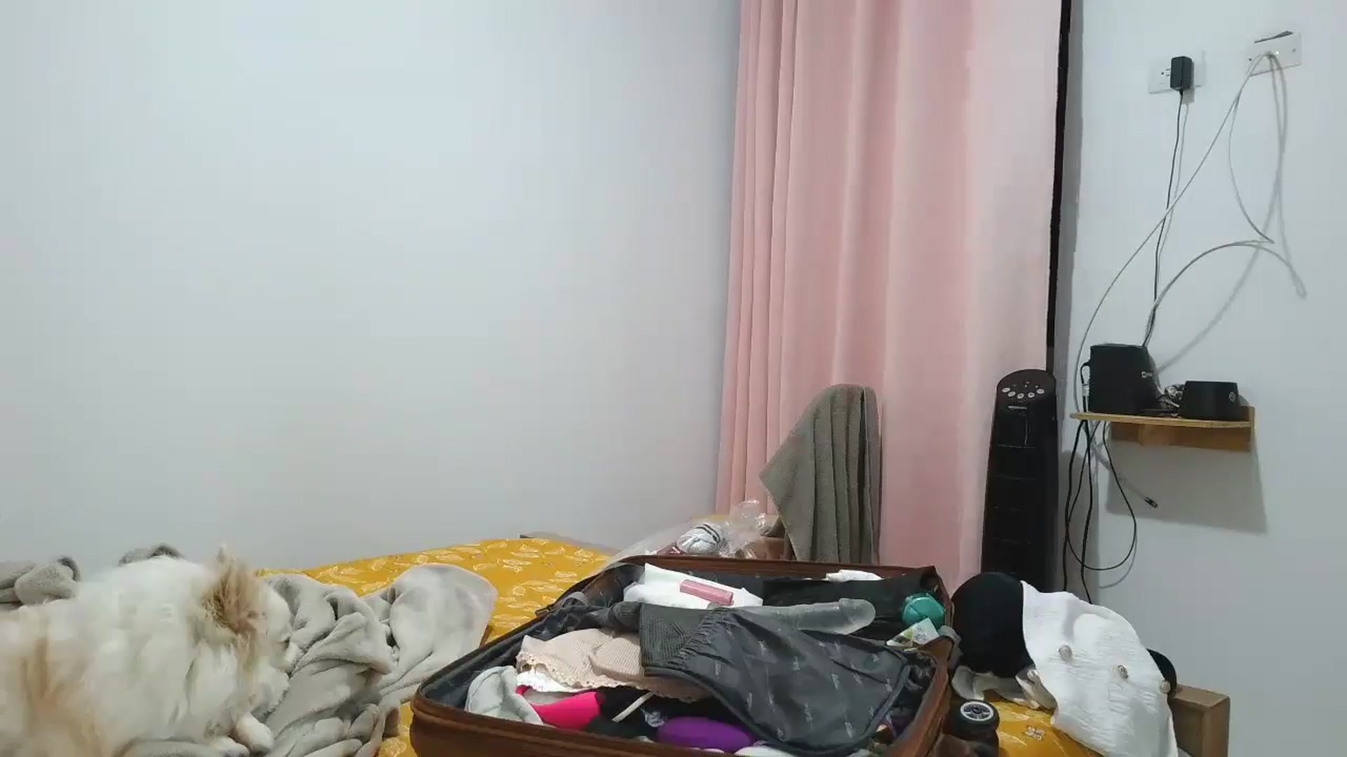 Gallery image thumbnail from yesicat's myfreecams stream on, 09/13/2025, 01:45 image 13 of 20