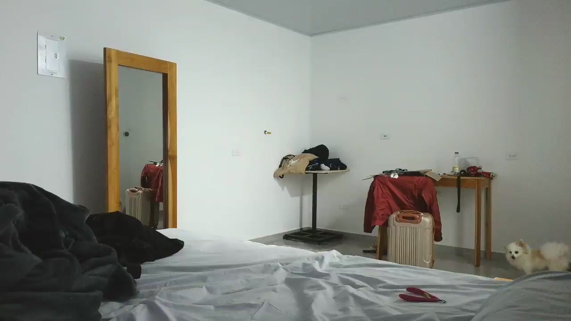 Gallery image thumbnail from yesicat's myfreecams stream on, 11/30/2025, 03:58 image 9 of 20