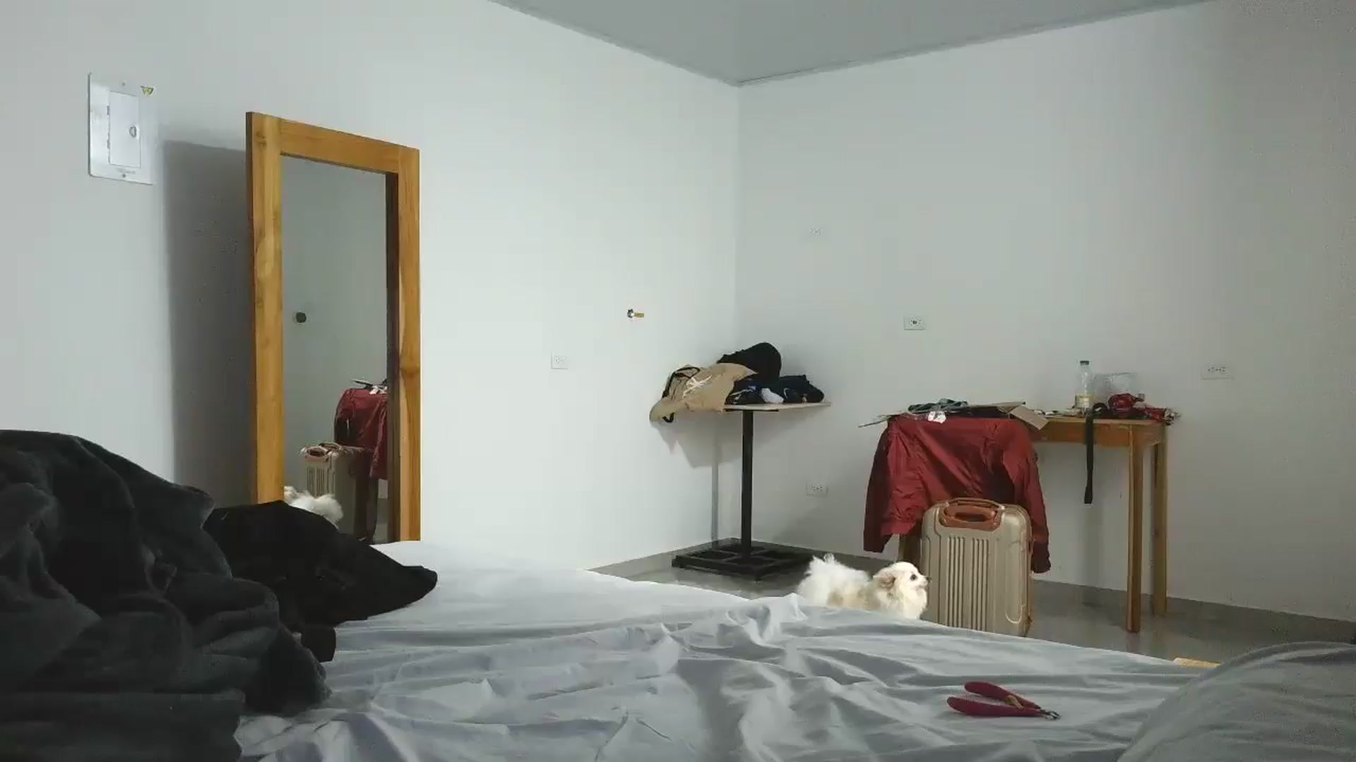 Gallery image thumbnail from yesicat's myfreecams stream on, 11/30/2025, 03:58 image 8 of 20