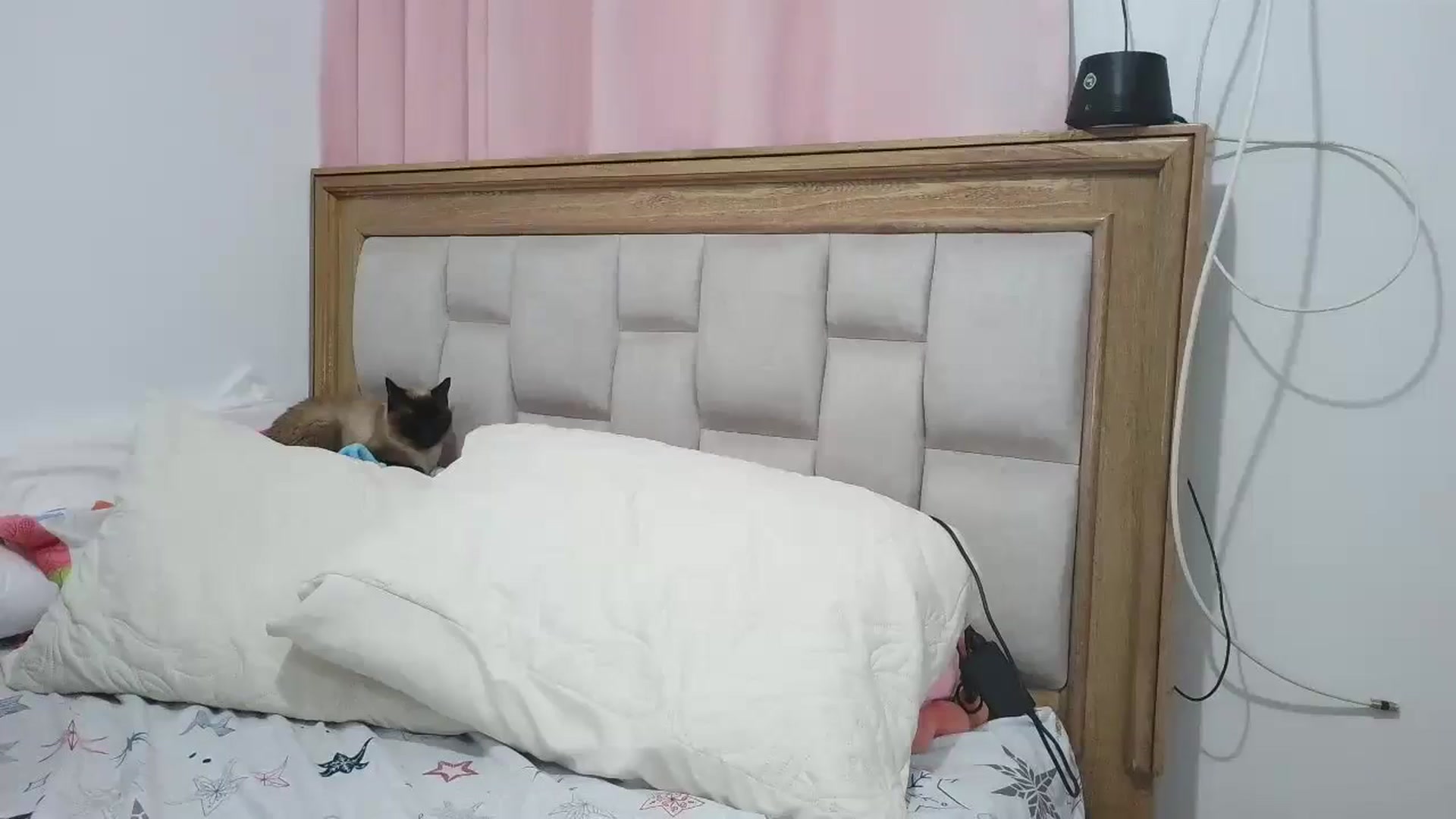 Gallery image thumbnail from yesicat's myfreecams stream on, 01/28/2026, 02:41 image 16 of 20