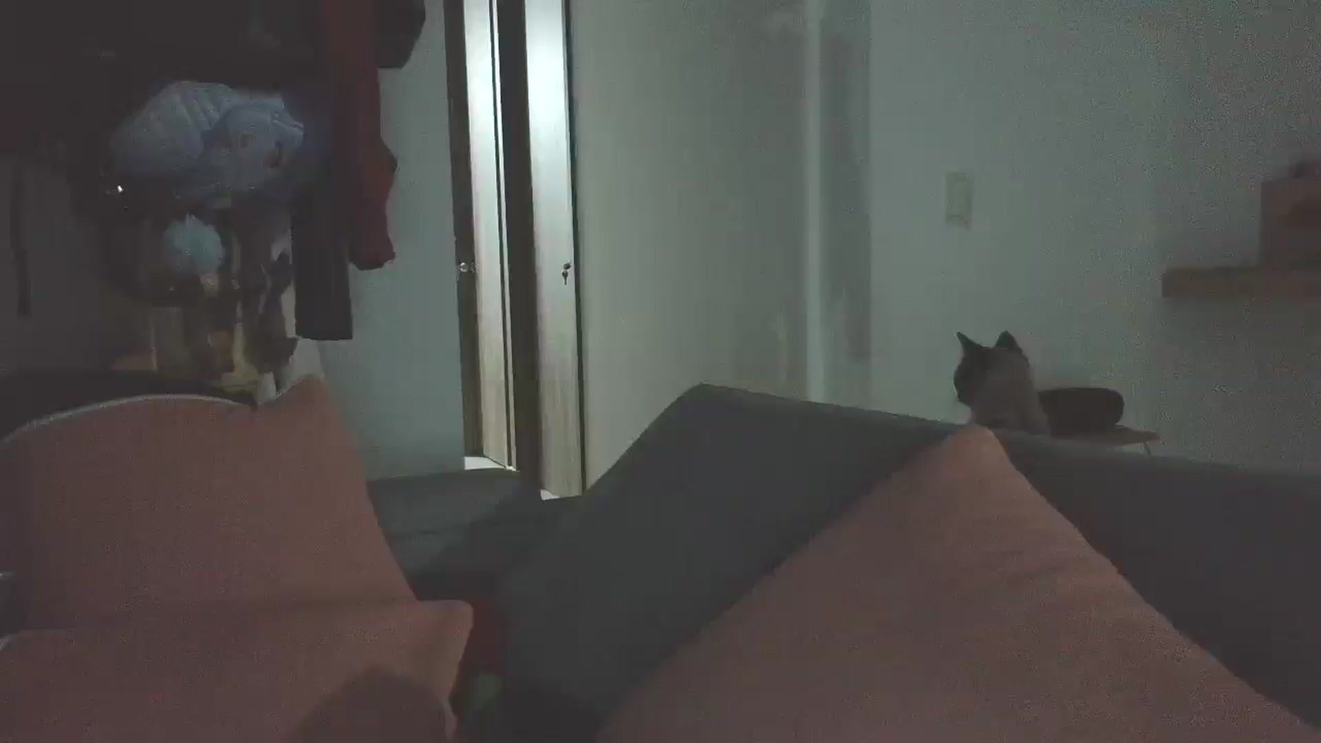 Gallery image thumbnail from yesicat's myfreecams stream on, 04/15/2026, 04:07 image 18 of 20