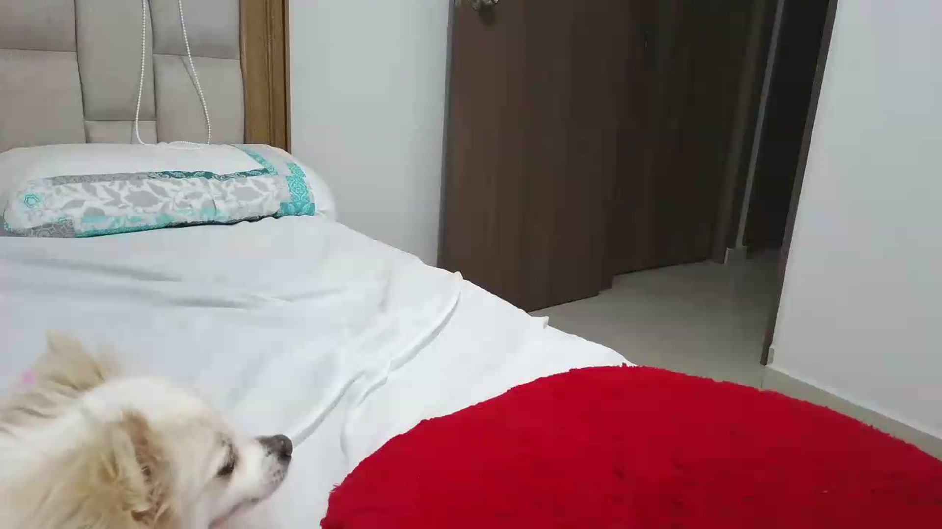 Gallery image thumbnail from yesicat's myfreecams stream on, 06/15/2026, 24:51 image 20 of 20