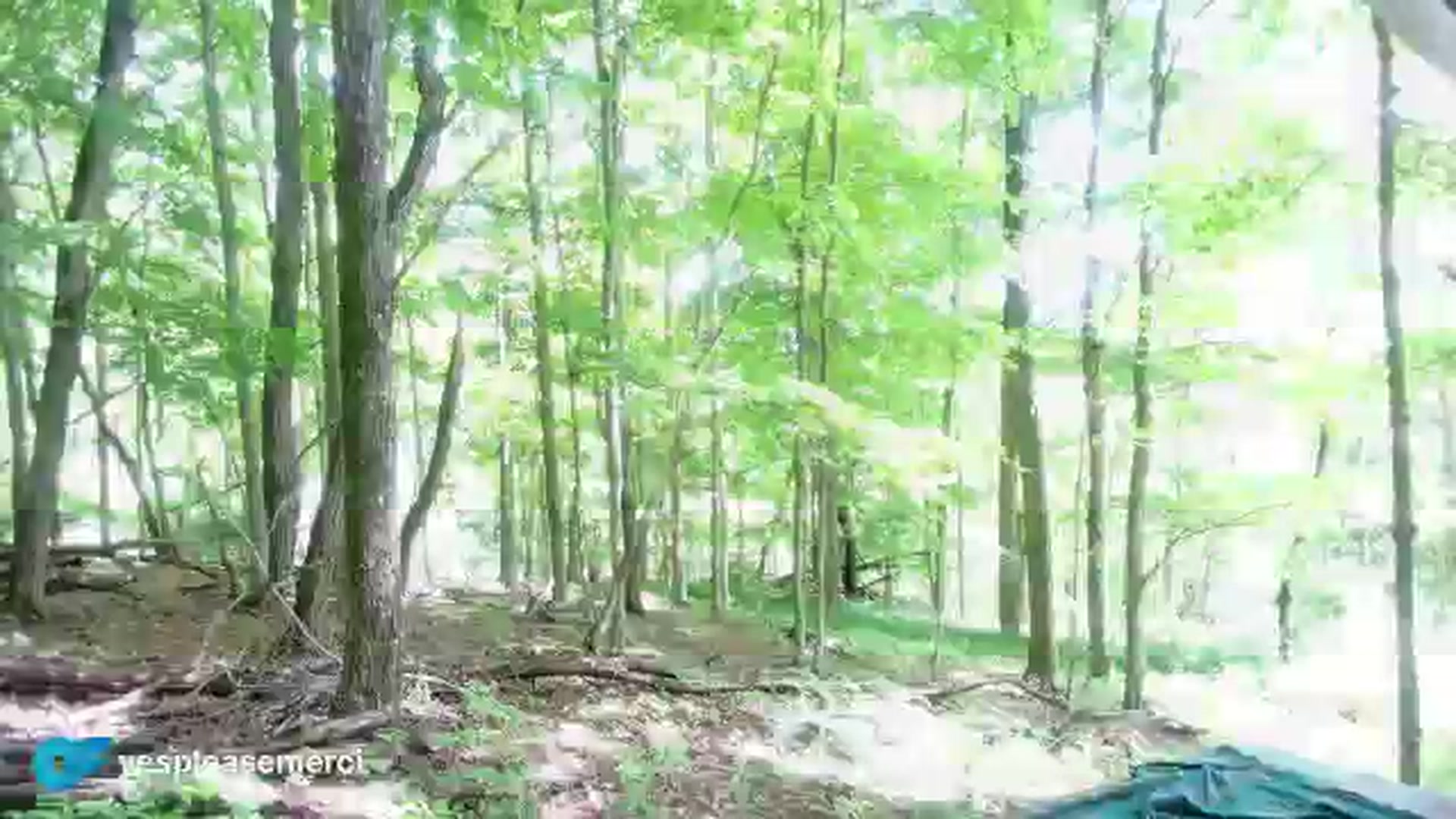 Gallery image thumbnail from yespleasemmhm's myfreecams stream on, 05/19/2024, 18:42 image 16 of 20