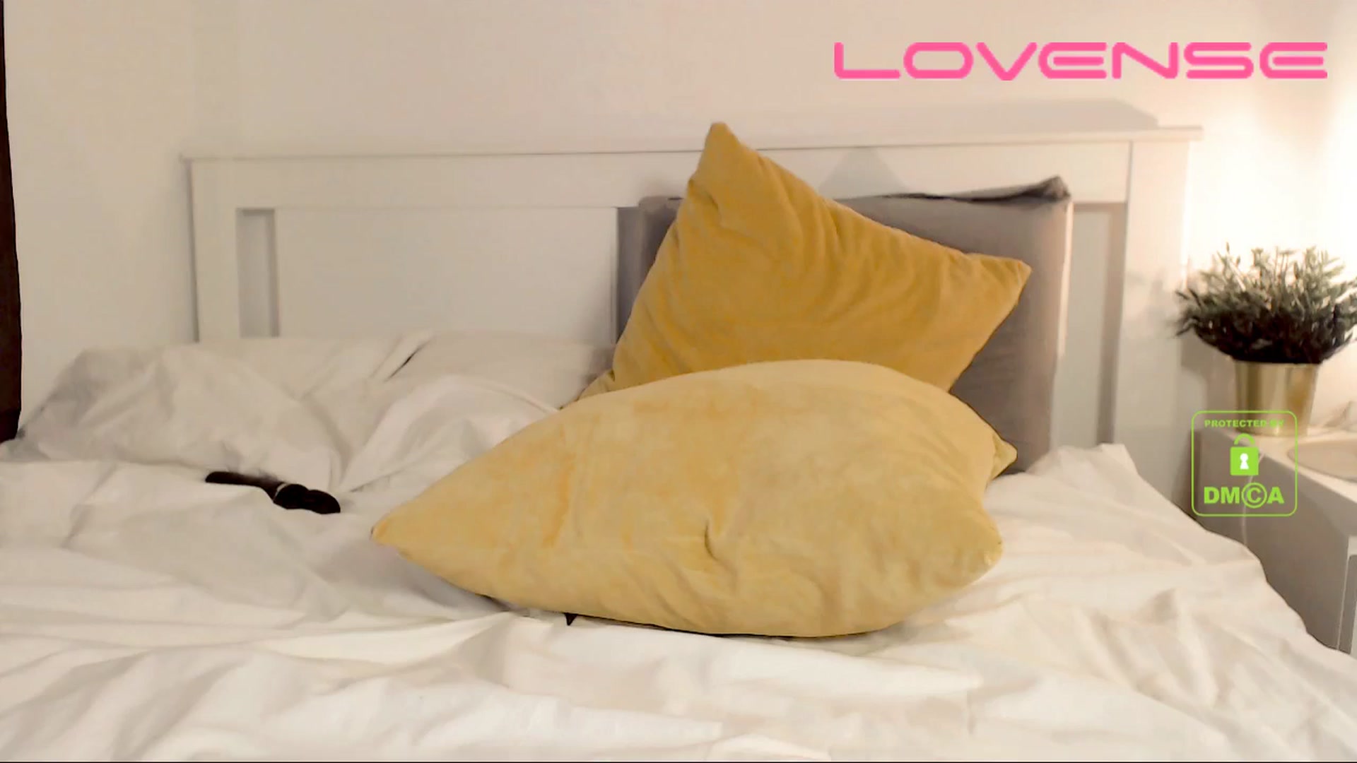Gallery image thumbnail from your_eyecandy's myfreecams stream on, 01/02/2026, 14:21 image 20 of 20
