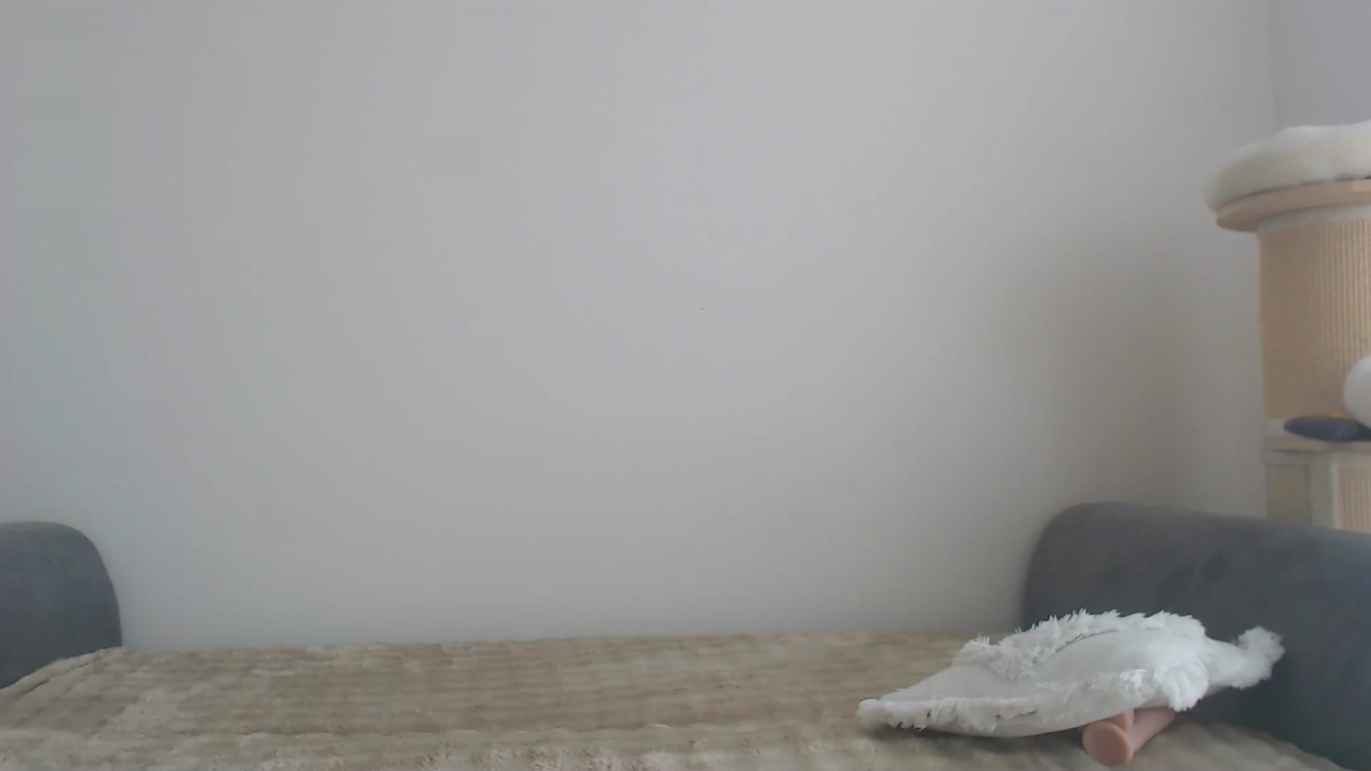 Gallery image thumbnail from yourcammodelx's myfreecams stream on, 03/05/2025, 12:59 image 18 of 20