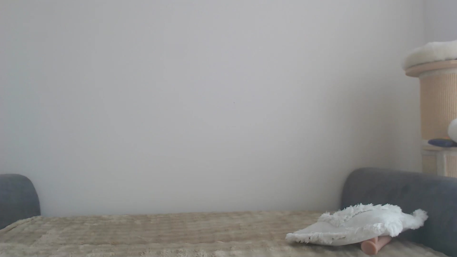 Gallery image thumbnail from yourcammodelx's myfreecams stream on, 03/05/2025, 12:59 image 19 of 20
