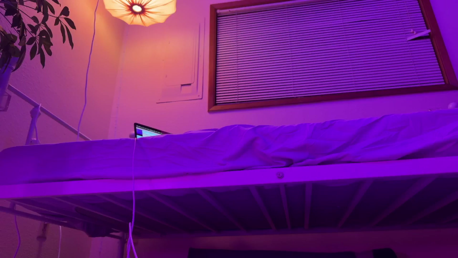 Gallery image thumbnail from zoeyjpeg's myfreecams stream on, 05/10/2025, 06:16 image 17 of 20