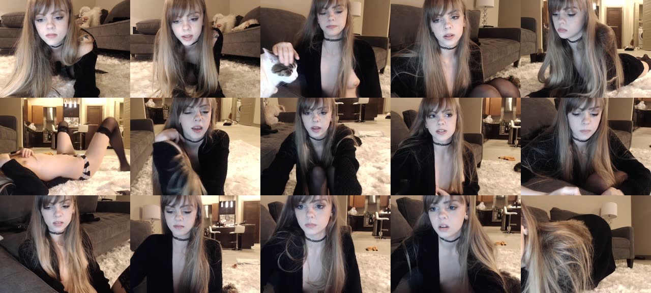Kitten-MFC-201610020314_m.jpg