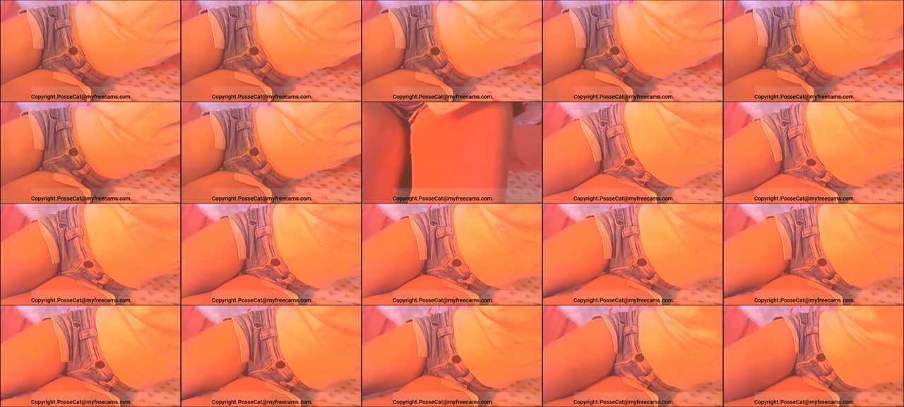 PosseCat-MFC-202210240824_m.jpg