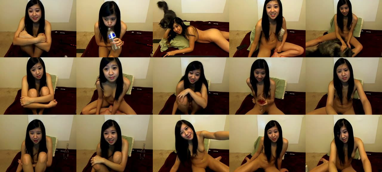 CosmicNeko-MFC-201510250501_m.jpg
