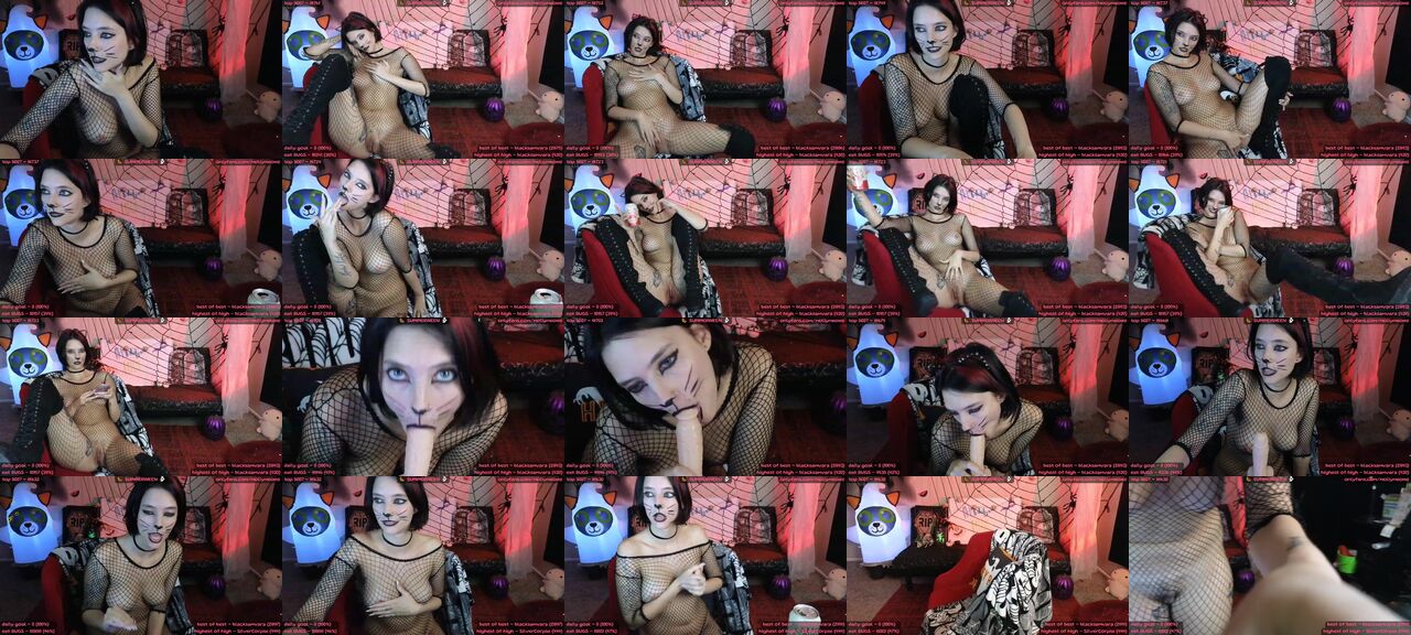 MollyMeowz-MFC-202308060131.mp4