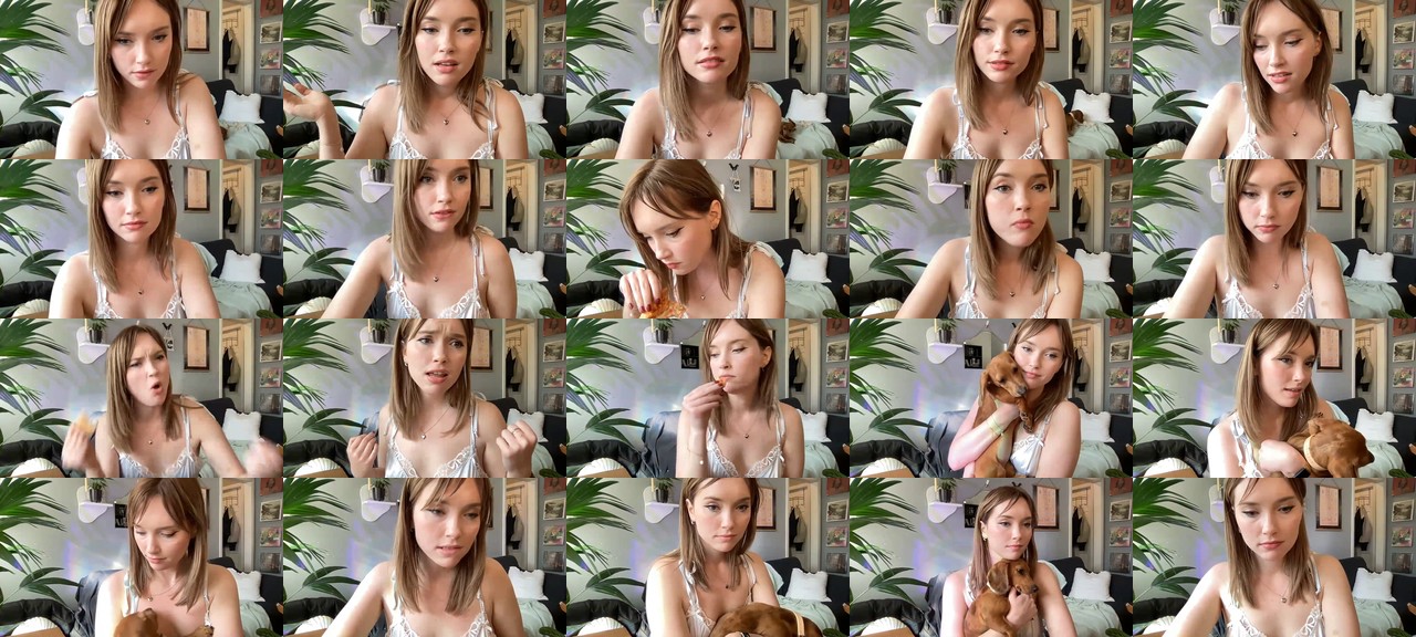petal_-MFC-202202252044_m.jpg