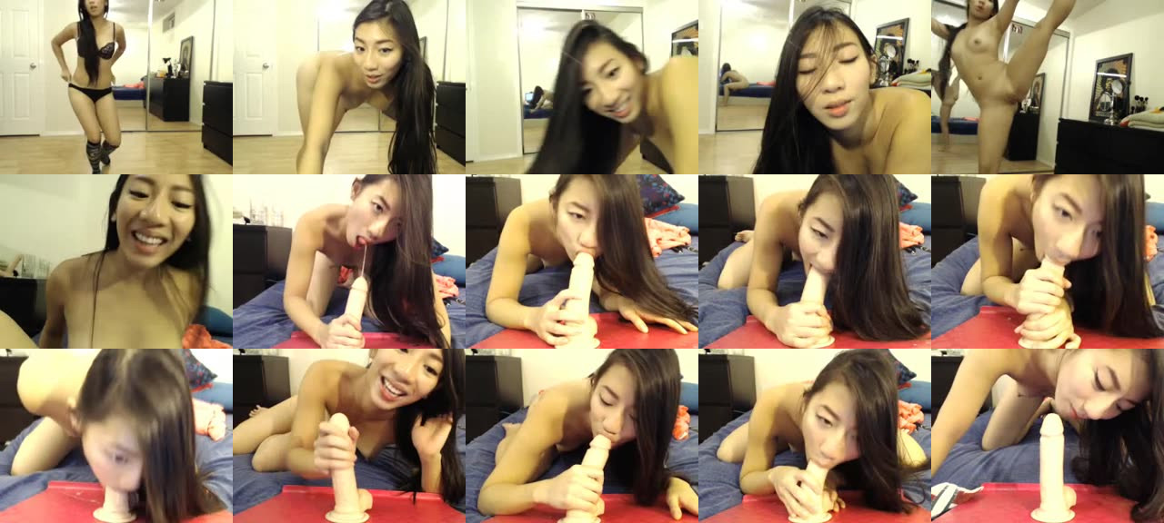 BendyBee-MFC-201409110802-2_m.jpg