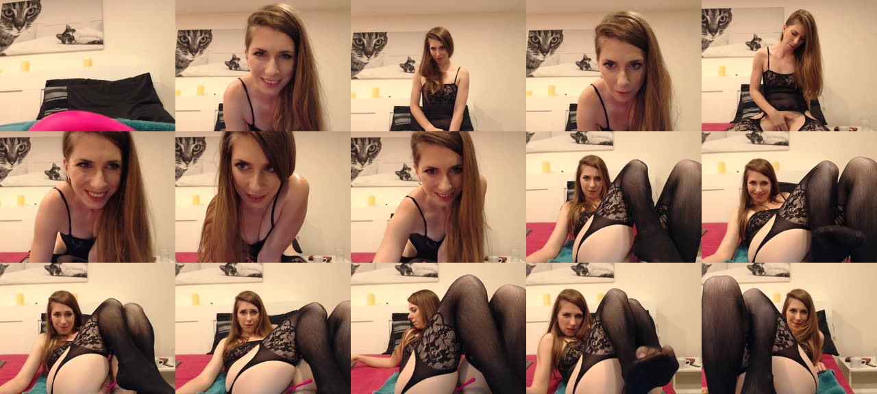 cat_on_show-MFC-201805071907_m.jpg