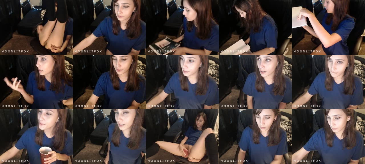 moonlitfox-MFC-201710101459_m.jpg
