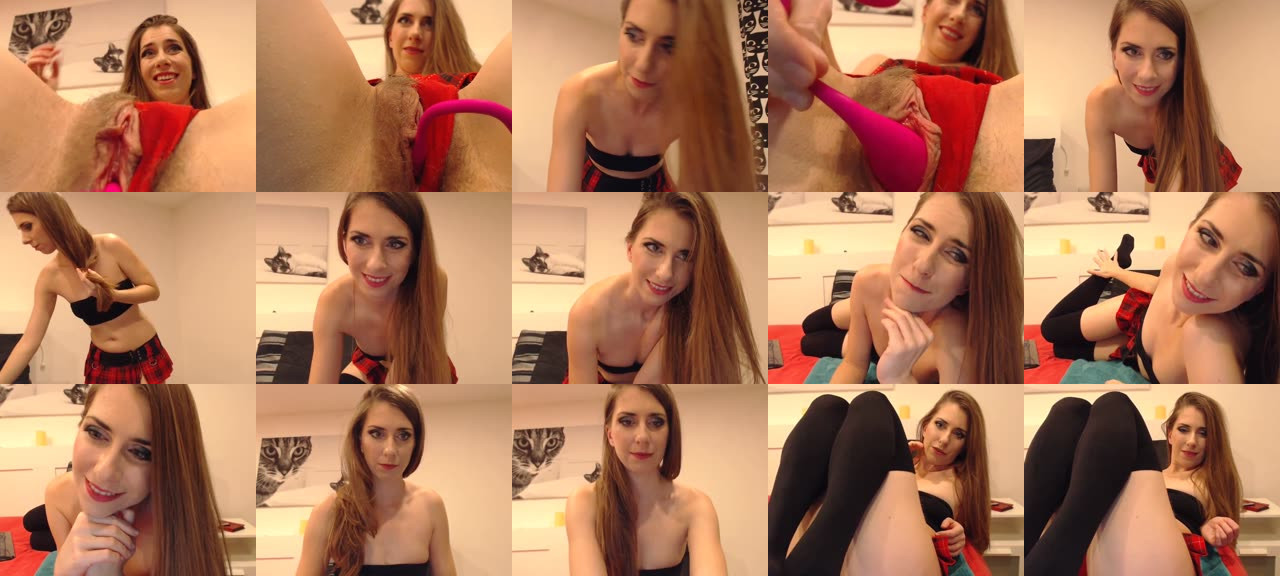 cat_on_show-MFC-201811042001_m.jpg
