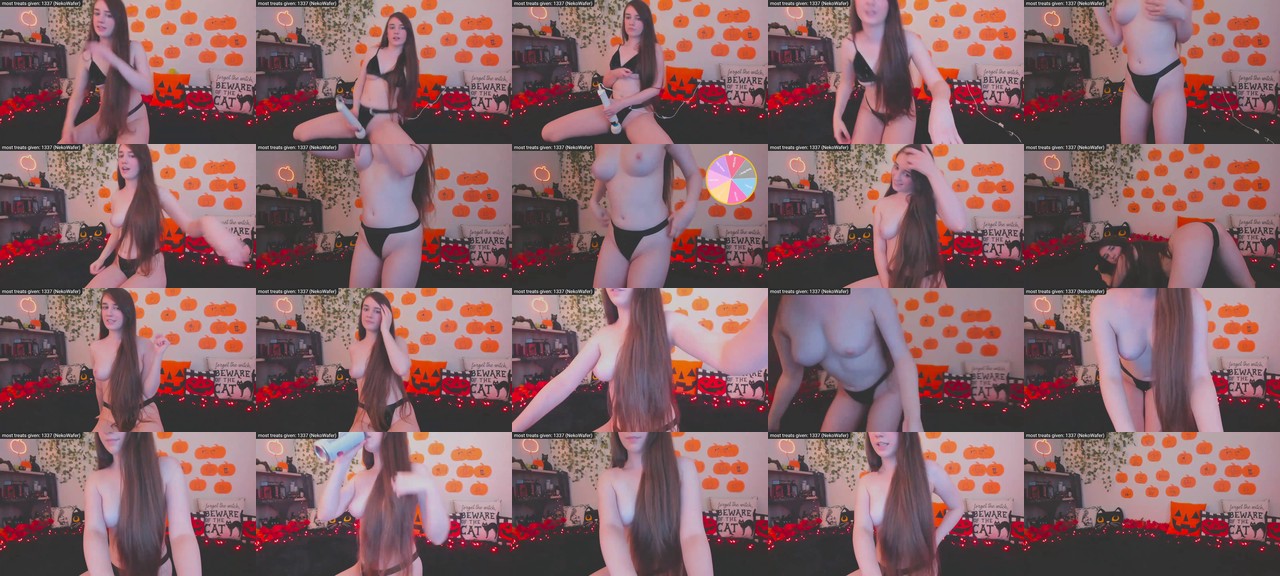 Kitty-MFC-202210180543_m.jpg