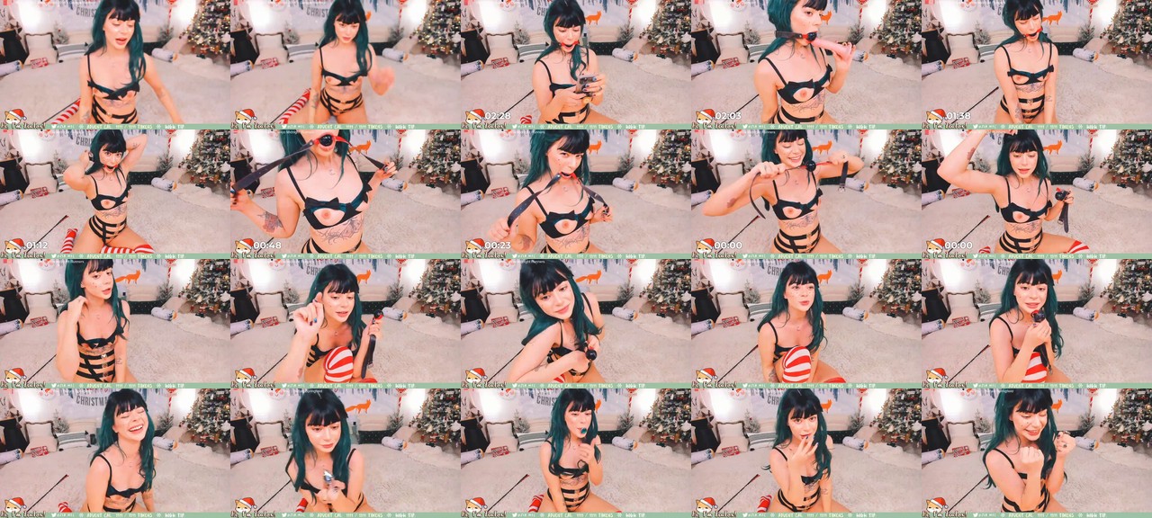 ZiaFox-MFC-202012242332.mp4