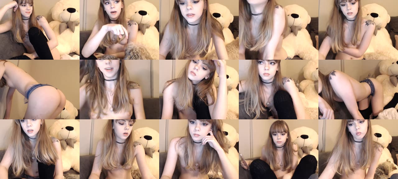 Kitten-MFC-201704010149_m.jpg