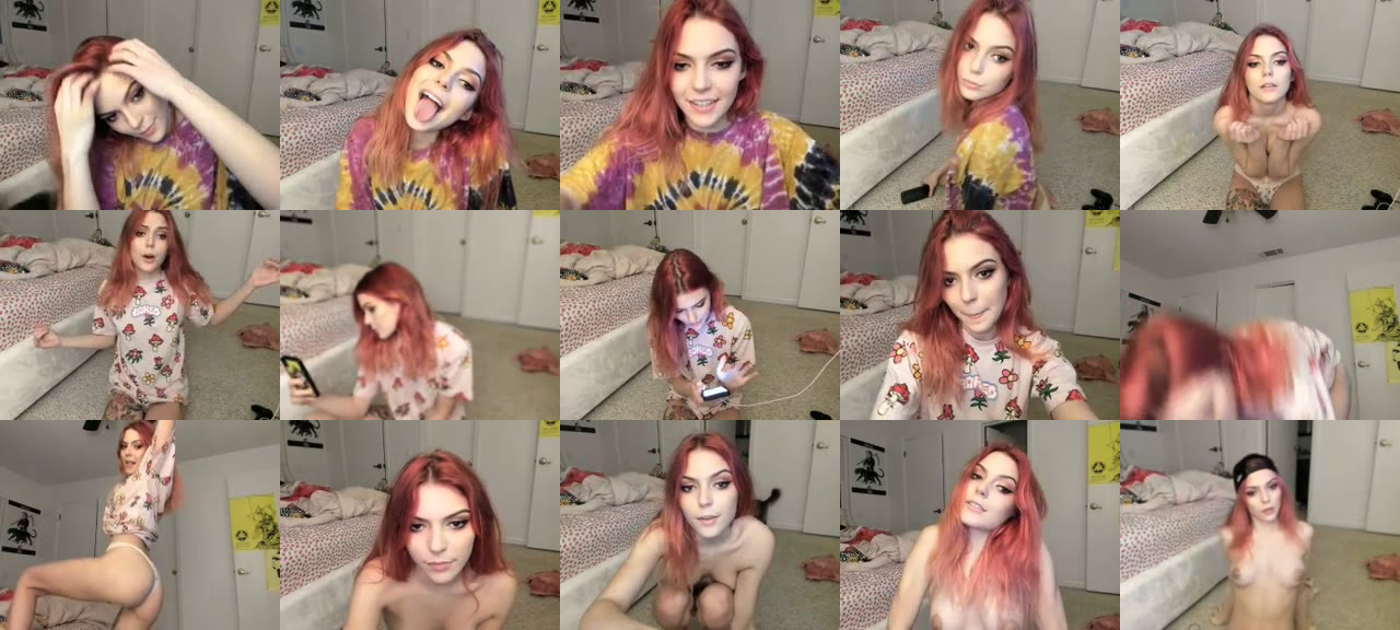 LittleViv-MFC-201811052237_m.jpg