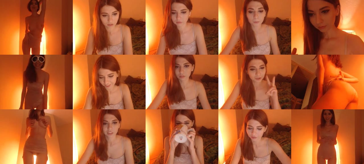 A_Young_fox-MFC-201602042309_m.jpg