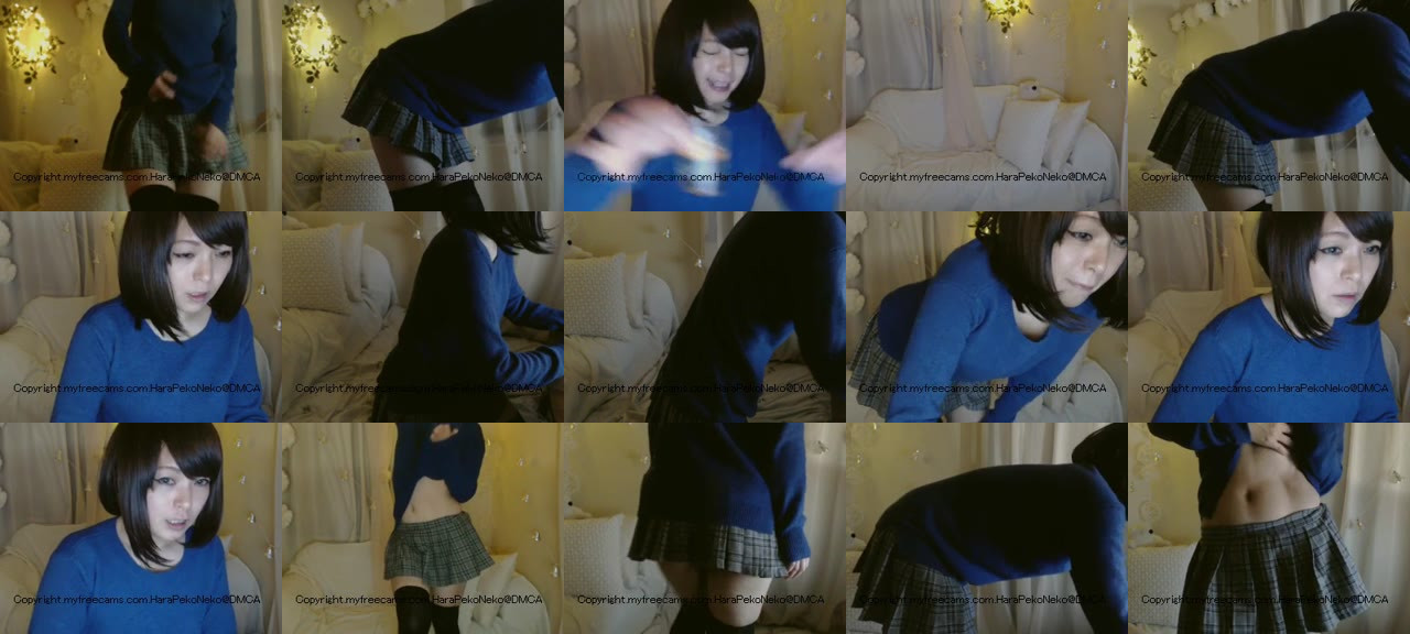 HaraPekoNeko-MFC-201512210645_m.jpg