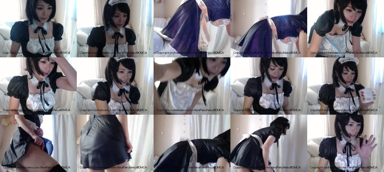 HaraPekoNeko-MFC-201604120427_m.jpg