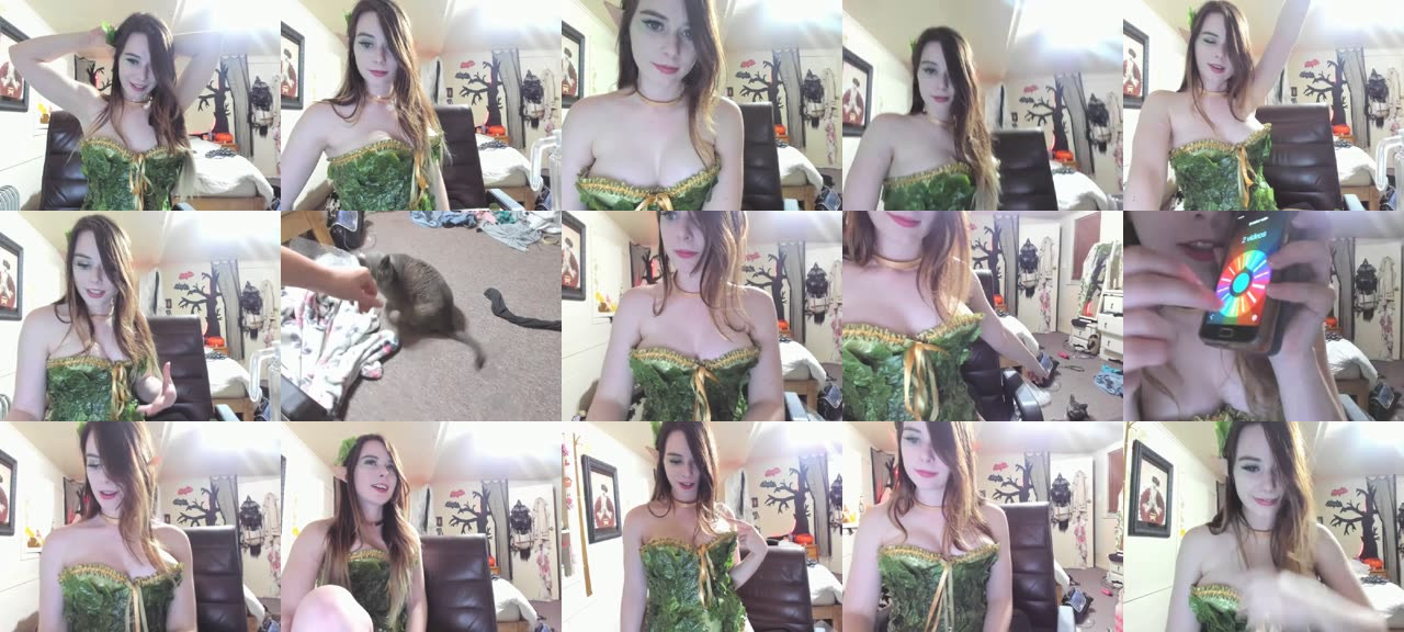 Forest_nymph-MFC-201710040336_m.jpg