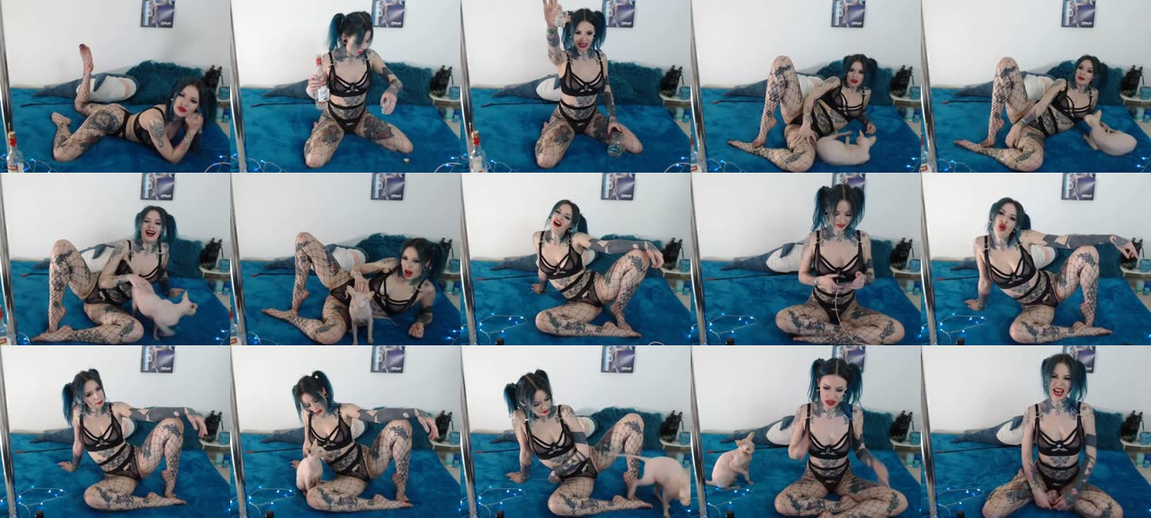 Katsandcrows-MFC-201903160020_m.jpg