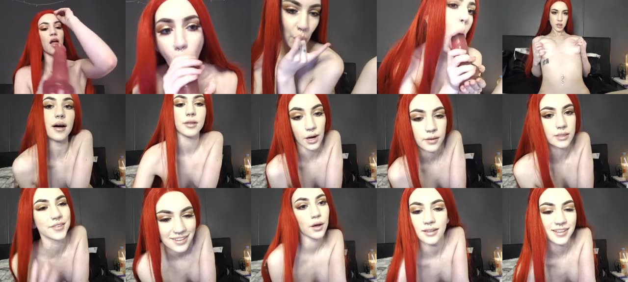 kitten__x-MFC-201810191247_m.jpg