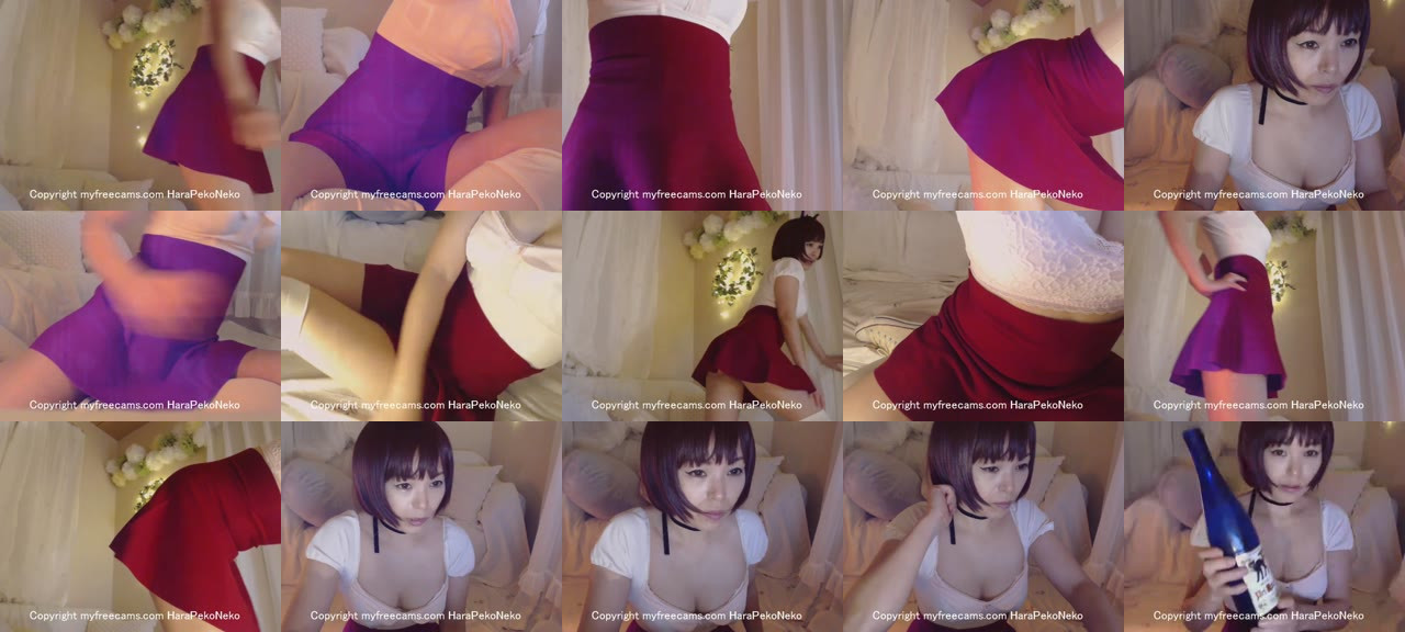 HaraPekoNeko-MFC-201612271007_m.jpg